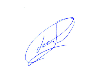 подпись Писаренко